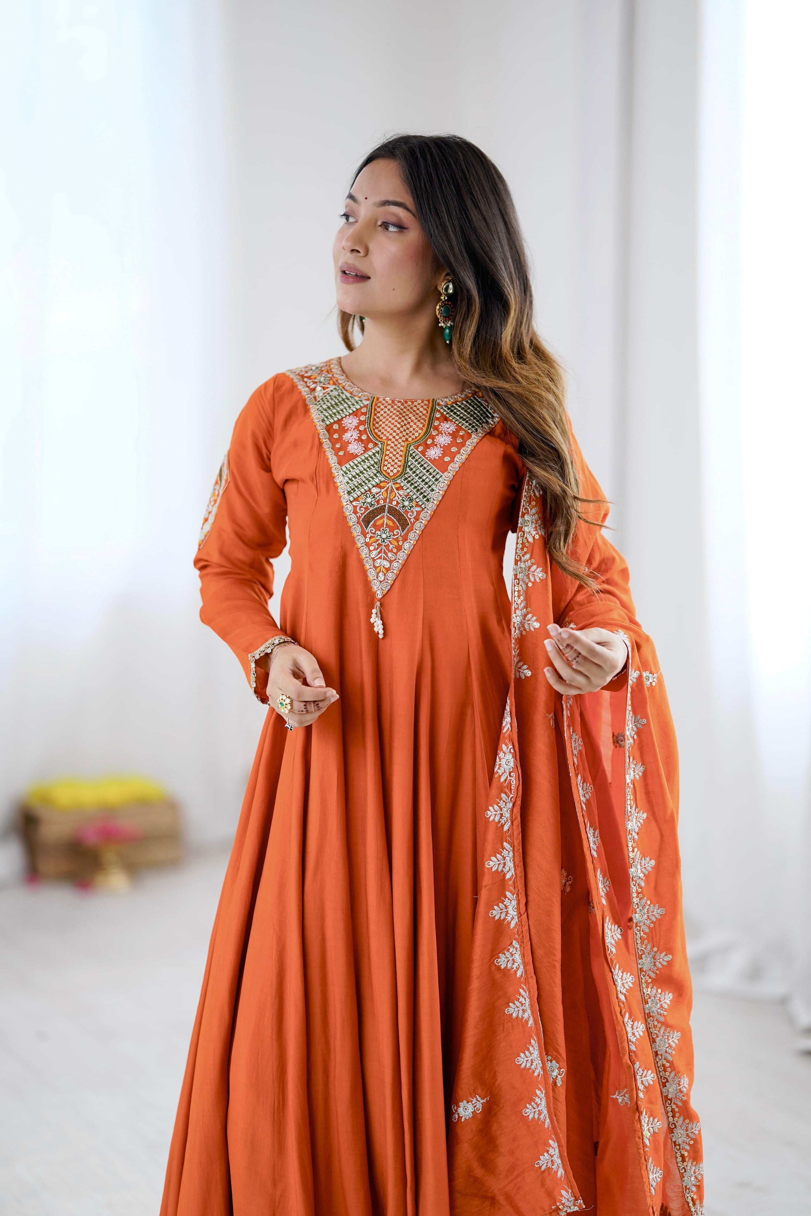Embroidered Indian Anarkali dress showing detailed neckline and full sleeve design